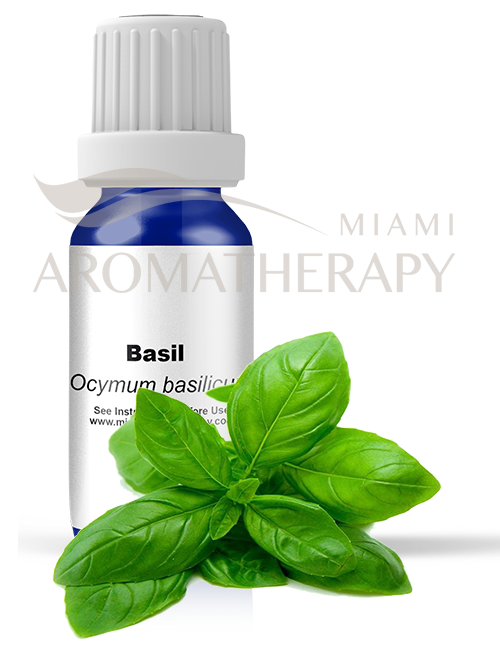 Basil Essential Oil Image of Basil Essential Oil