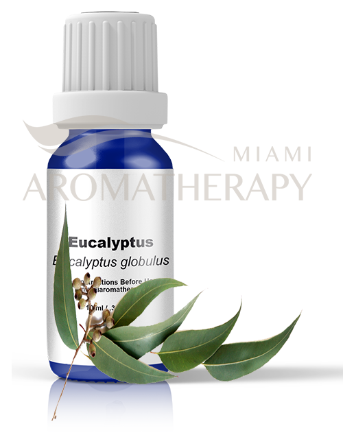 Image of Eucalyptus Essential Oil