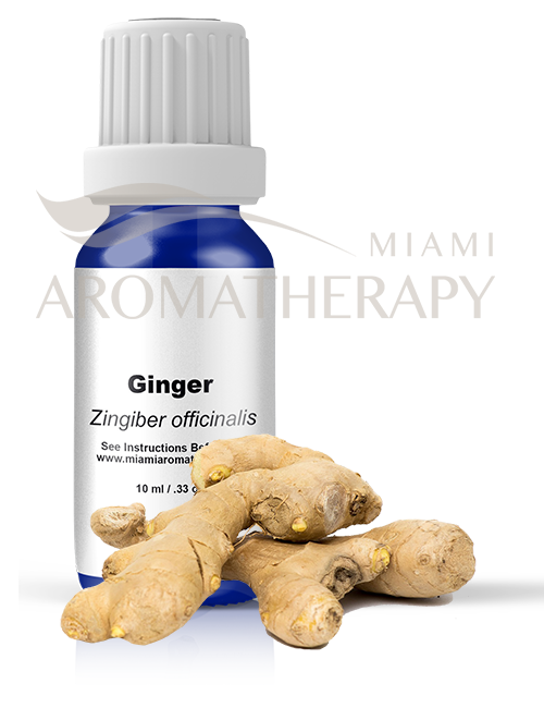 Ginger Essential Oil Image of Ginger Essential Oil